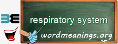 WordMeaning blackboard for respiratory system